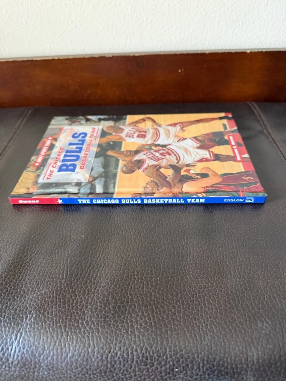 The Chicago Bulls Basketball Team Great Sports Teams series by Thomas S. Owens